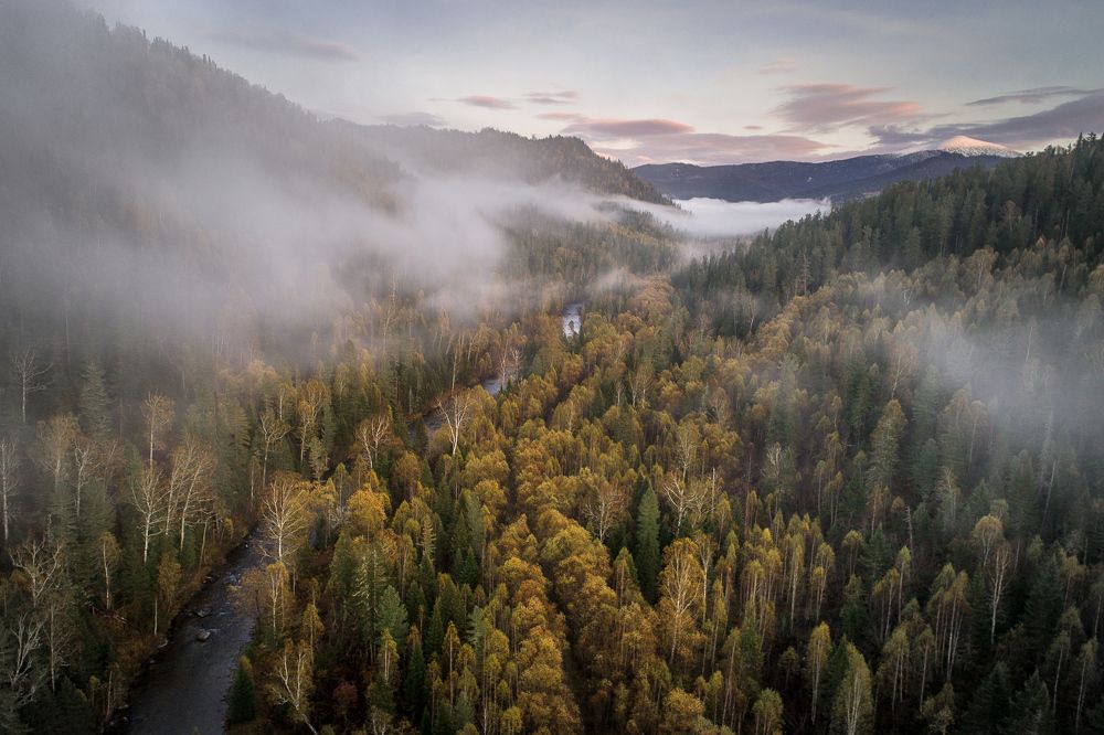 Photograph by Александр Нерозя