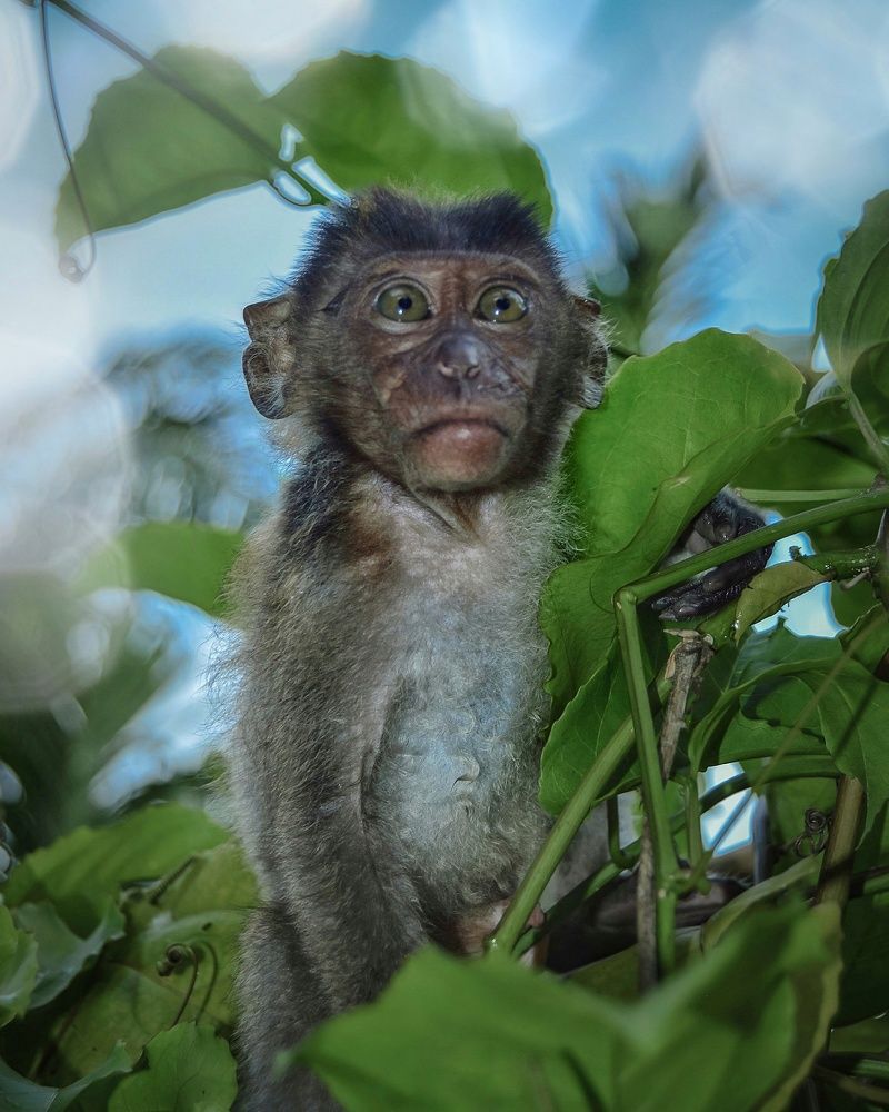 Photograph by Ayu Permataning Tyas