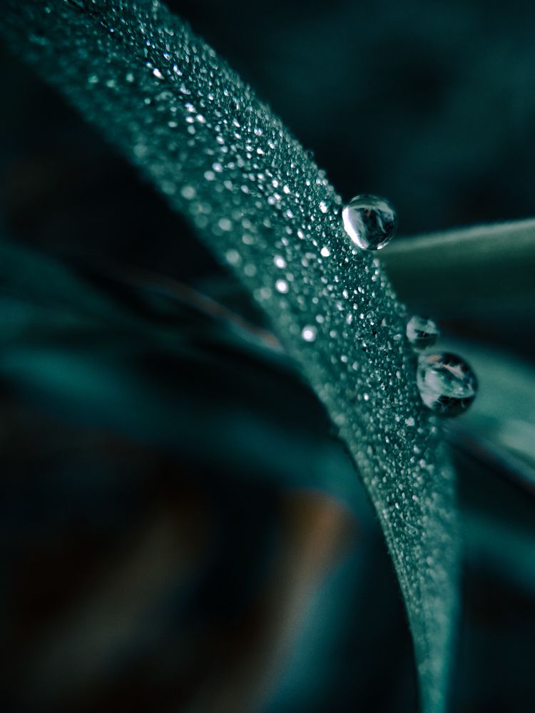 Photograph by Jayant Kurekar