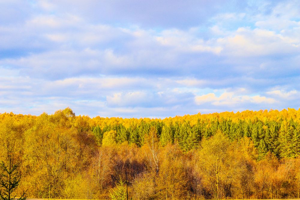 Photograph by Денис Геранькин