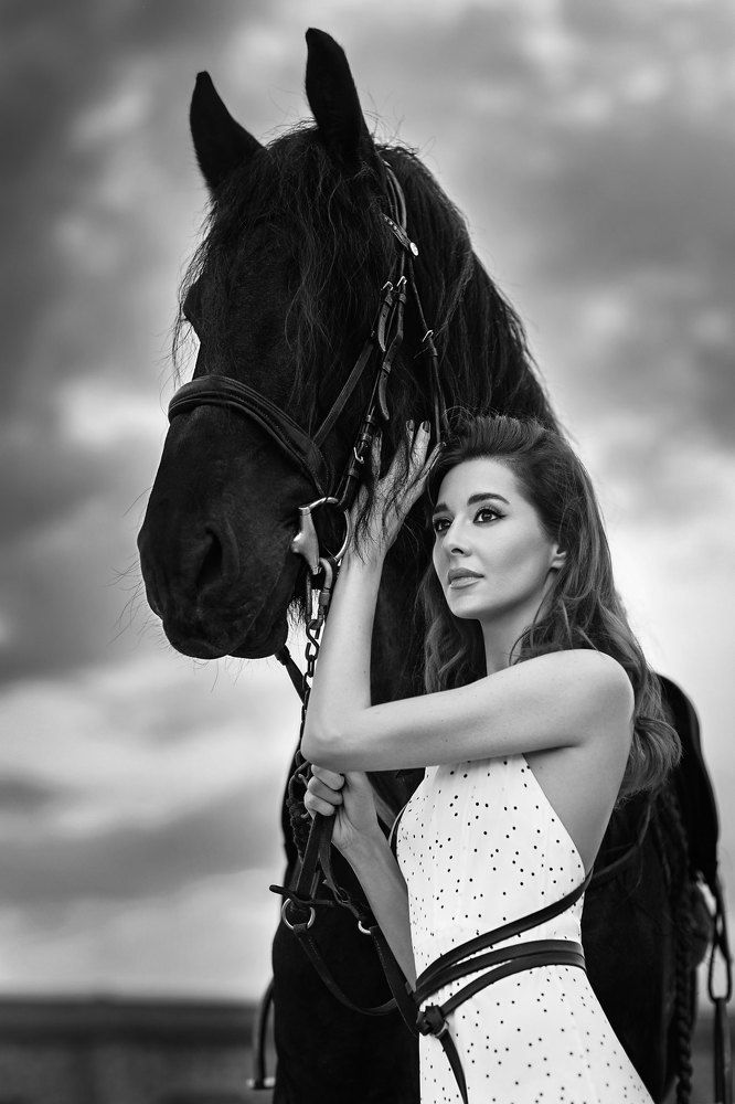 " The Horse Whisperer" Part 4