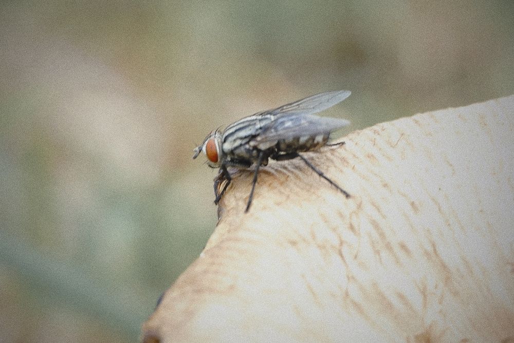 Photograph by Ariff Azrai