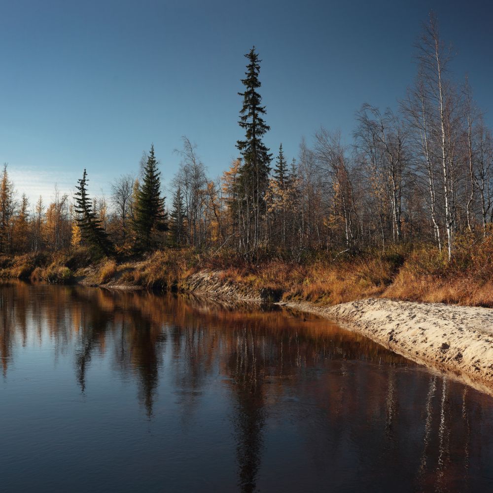 Photograph by Светлана Смирнова