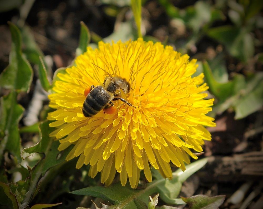 Photograph by Владимир Рандин