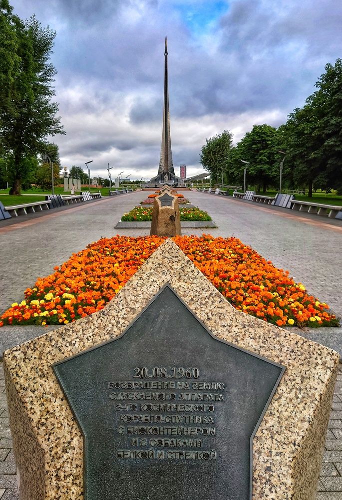 Photograph by Александр Гордиенко