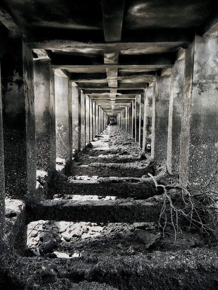 Look deeper... Quest - Find a crow.