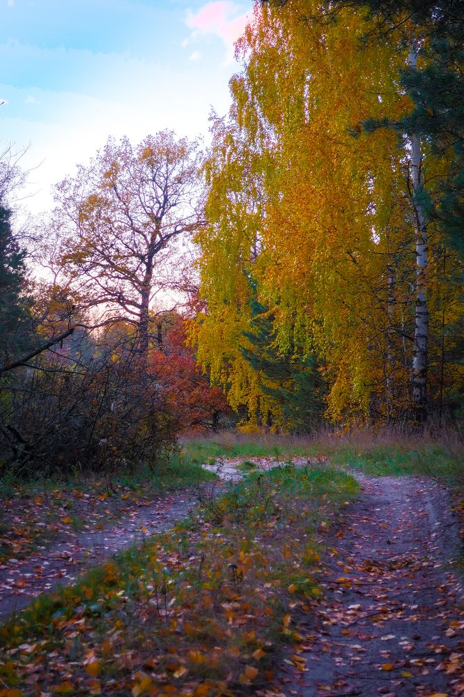 Photograph by Владимир Коновалов