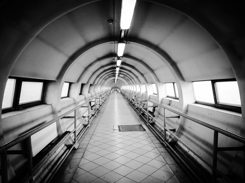 Photograph by Александр Гордиенко