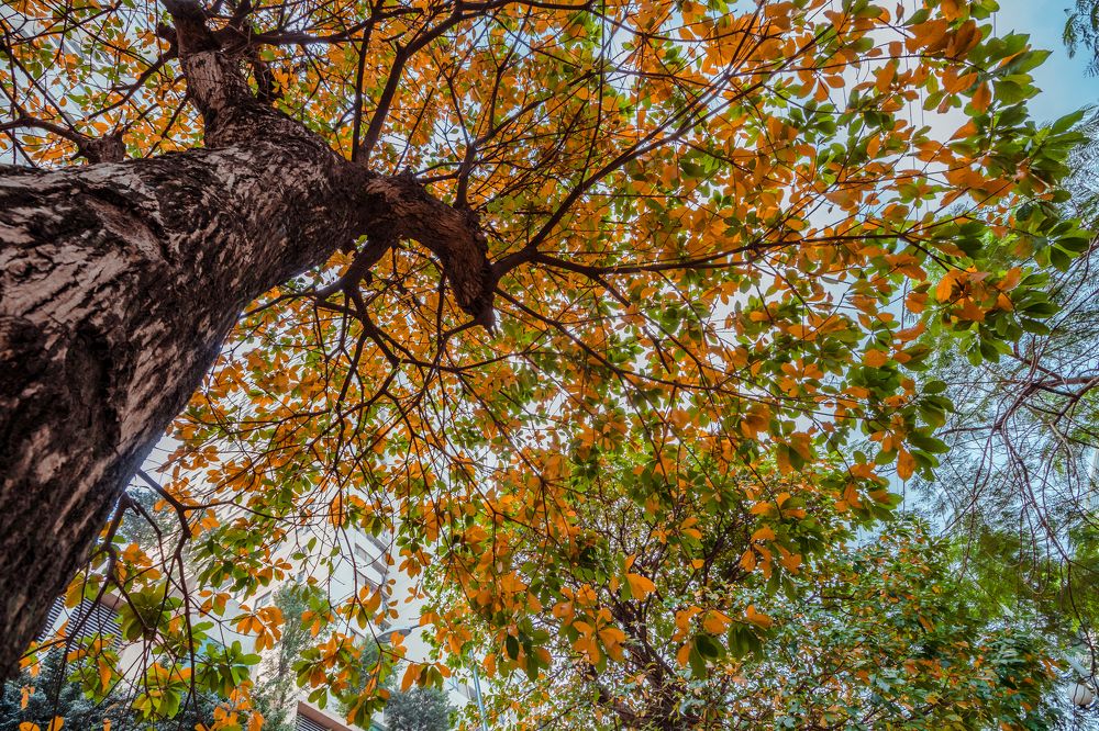 Photograph by Hung Le Thanh