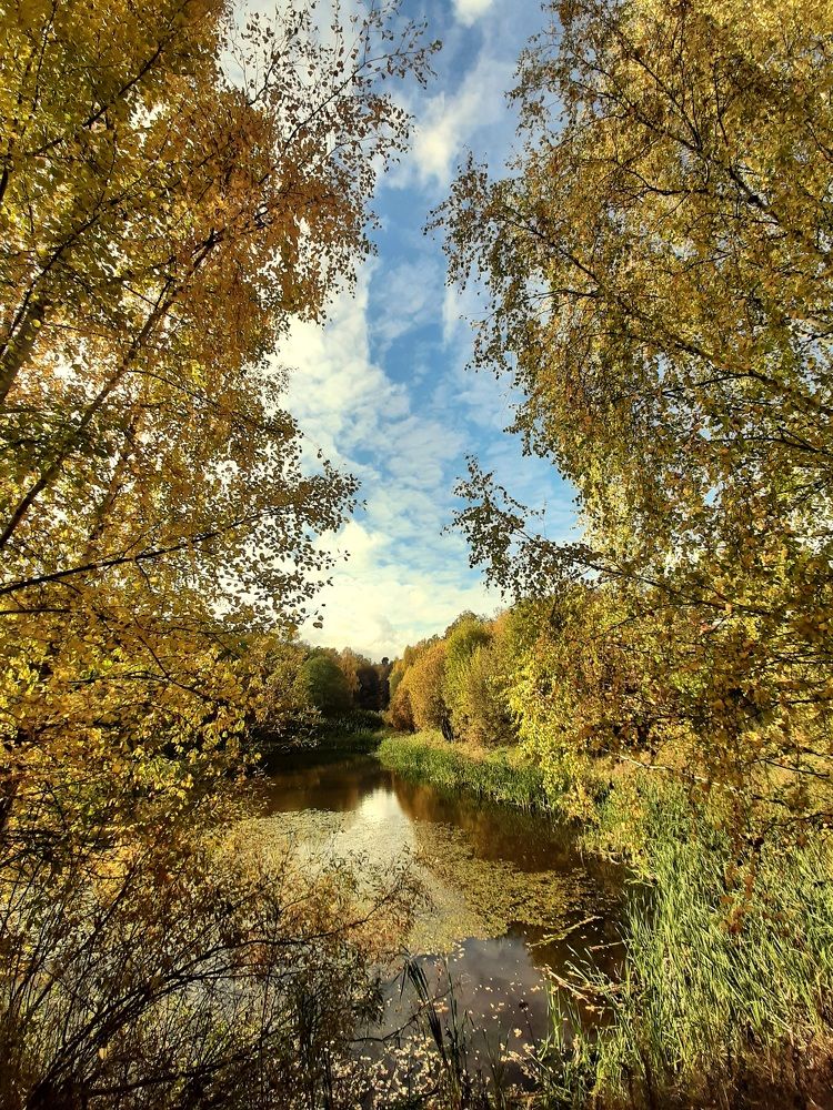 Photograph by Анастасия Зенкина