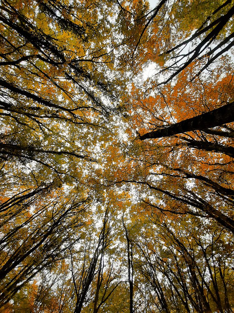 Photograph by Екатерина Гордеева