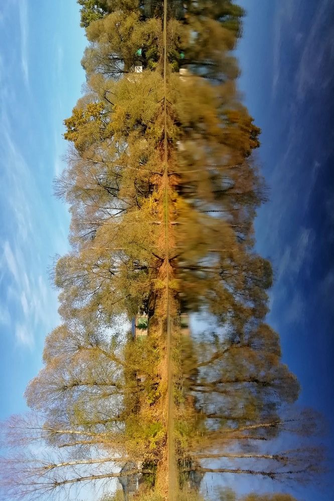 Photograph by Екатерина Чижевская