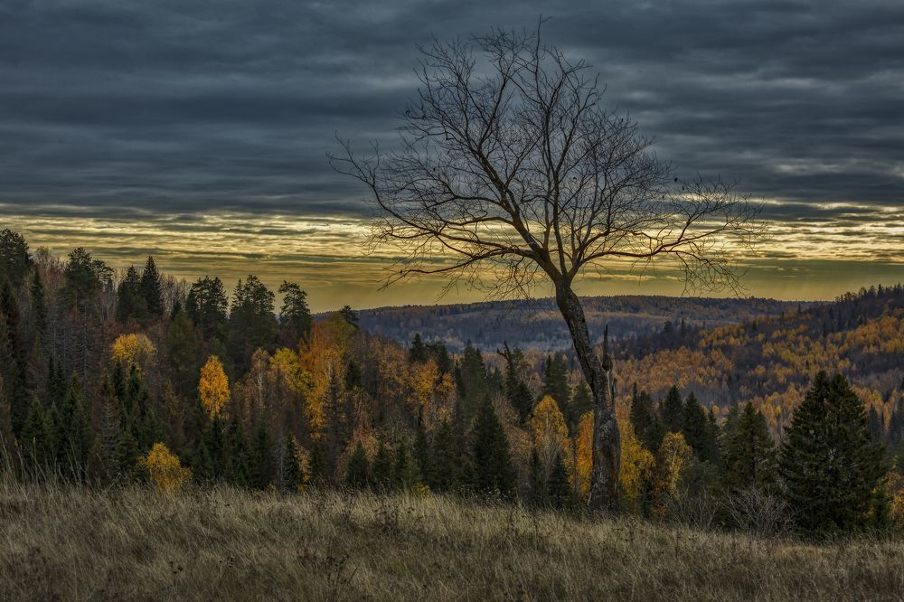 Фотография автора Александр Сальников