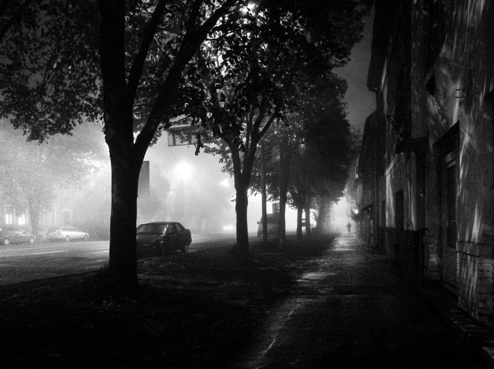 Фотография автора Amir H. Bakhtiari