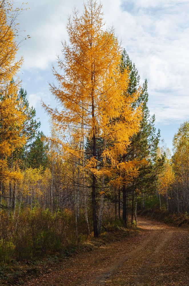 Photograph by Дмитрий Долгих