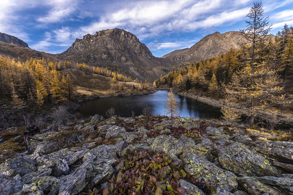 Photograph by Альбина Колодяжная