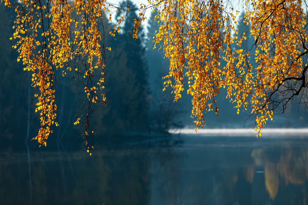 Photograph by Sergey Uskov