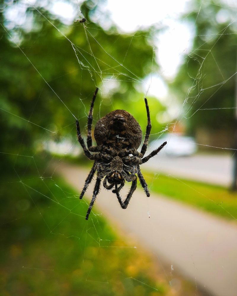 Фотография автора Александр