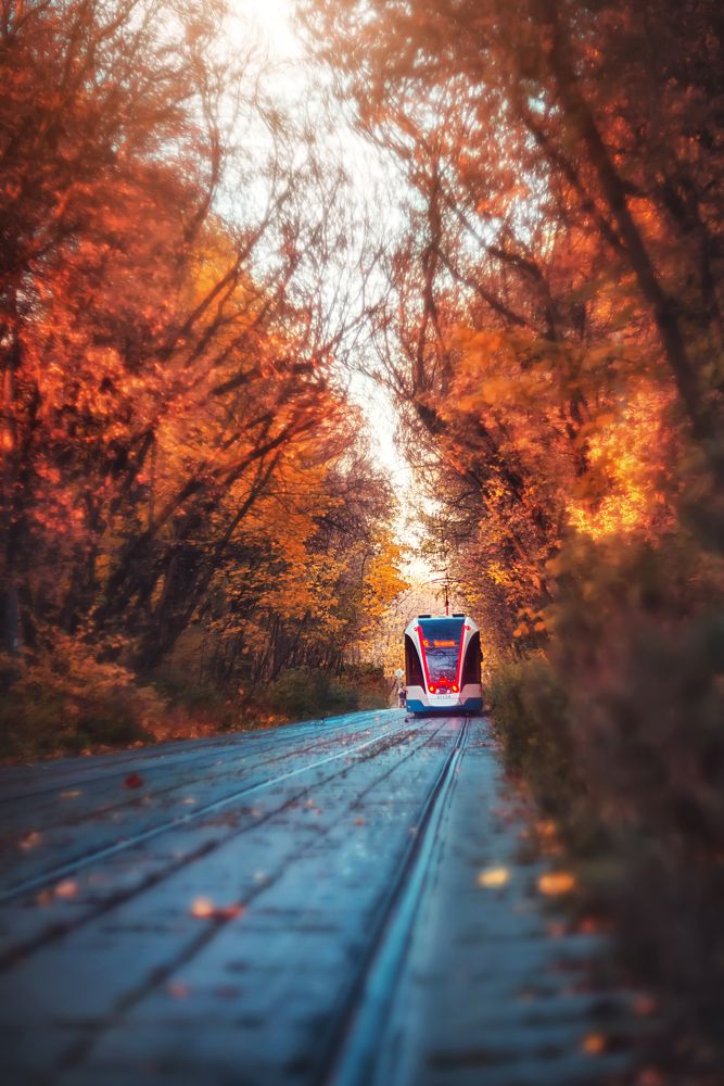 Photograph by Ксения Базарова