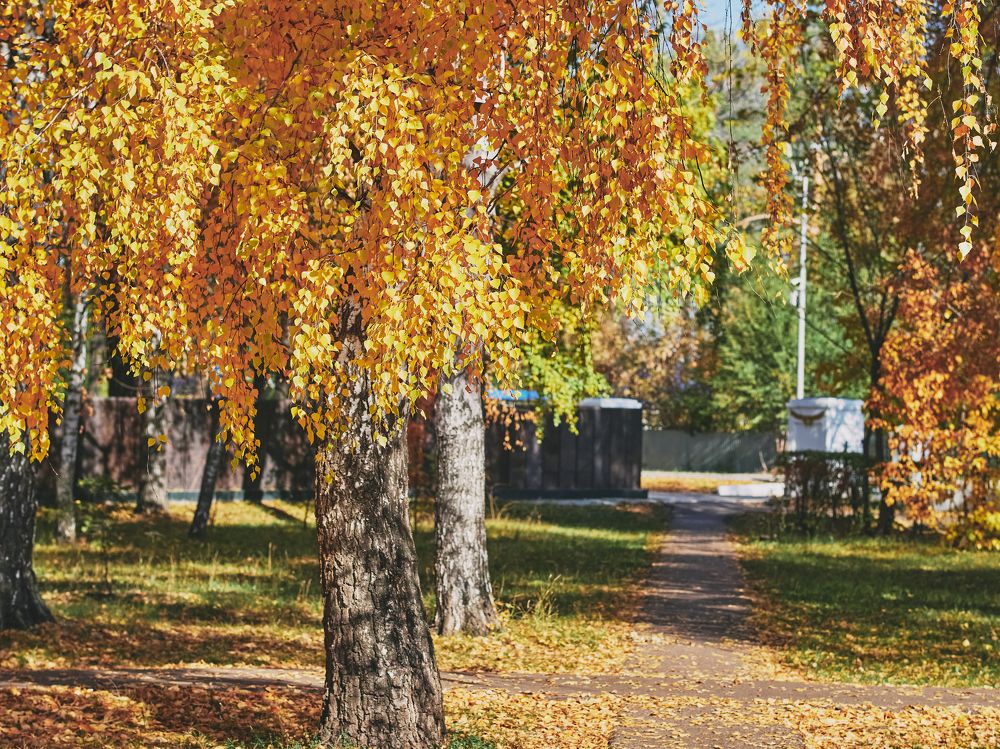 Photograph by Вячеслав Баширов