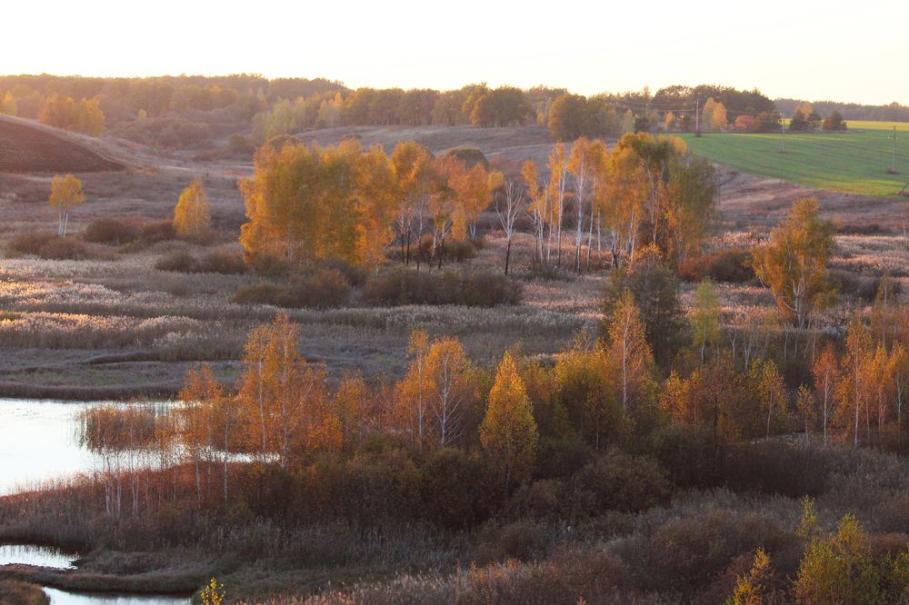 Закат у лесного озера