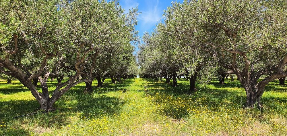 Photograph by jane nielsen