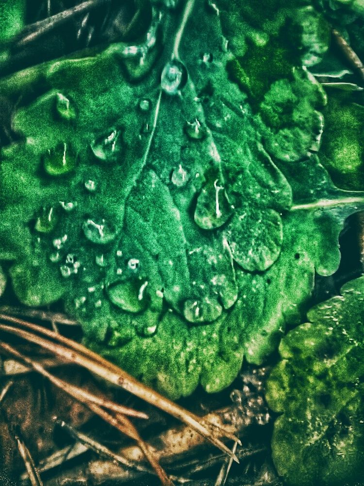 Photograph by Елена Касьянова