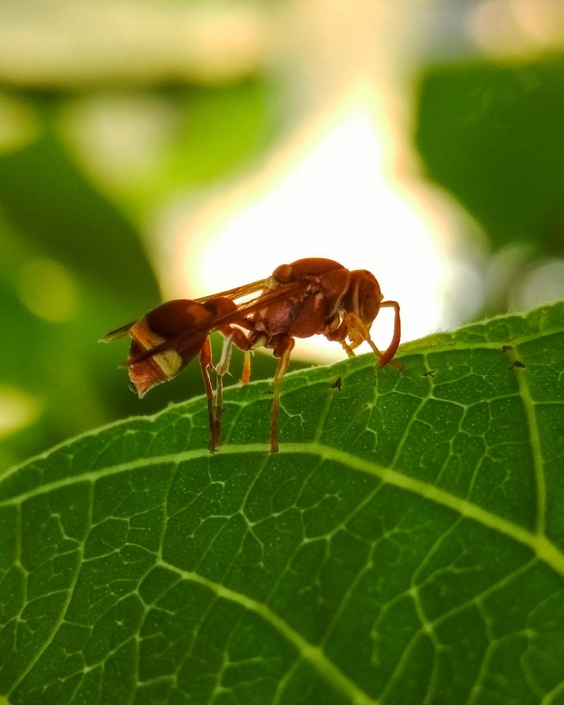 Photograph by Priyanshi Srivastava