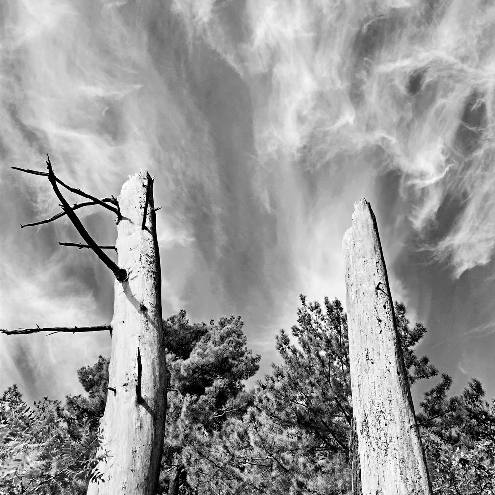 Photograph by Николай Ковальчук