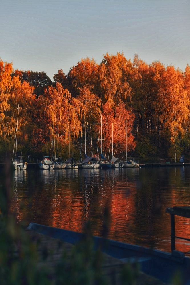 Photograph by Реутская Юлия