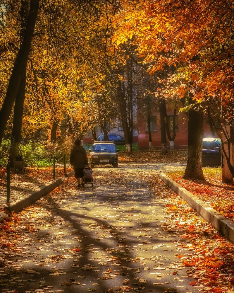 Photograph by Надежда Никитина