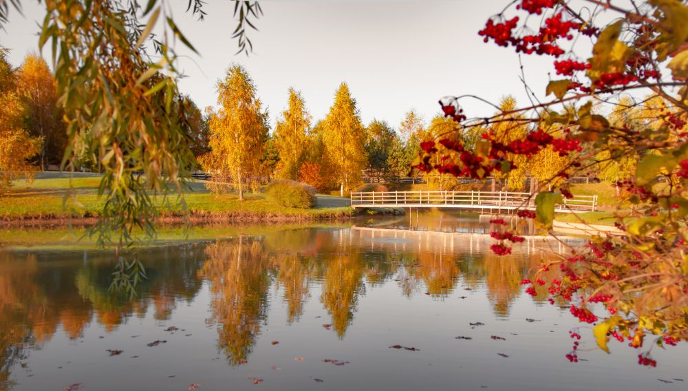 Photograph by андрей зорин