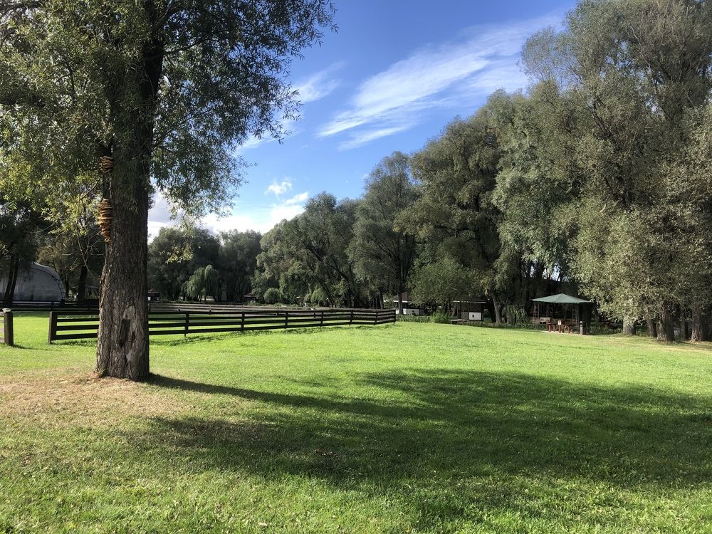 Photograph by Наталья