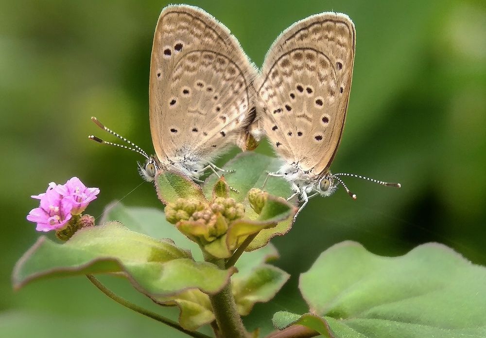 Photograph by Photography Debroto