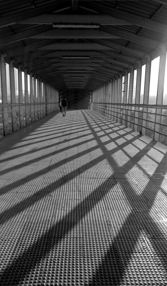 Фотография автора Pavitra Shettigar