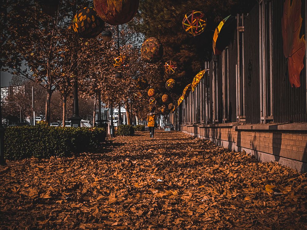 Photograph by Koroshmahdi Azarakhsh