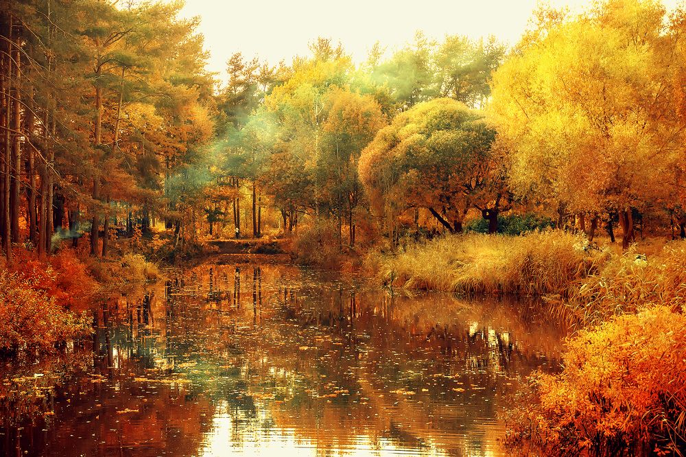 Photograph by Светлана