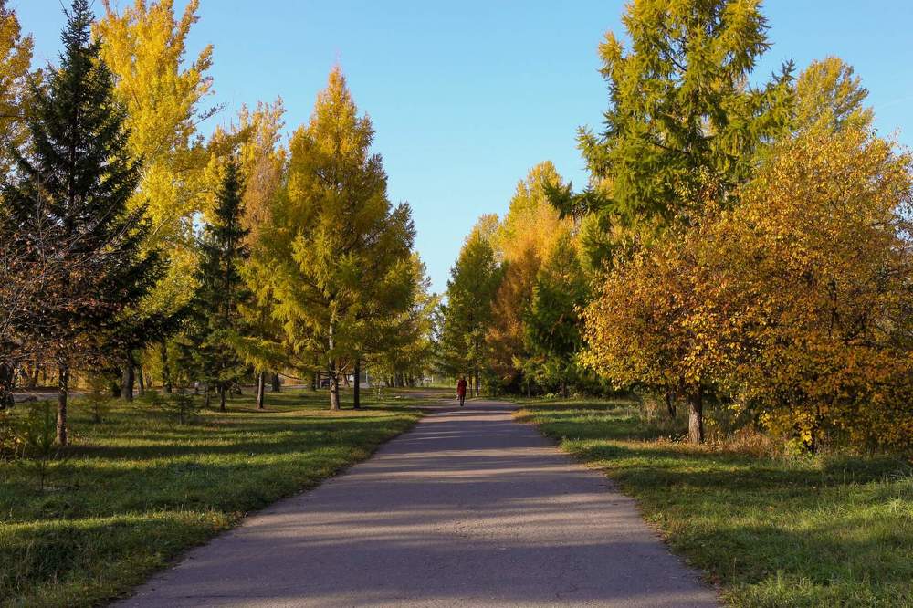 Фотография автора Светлана Дубина