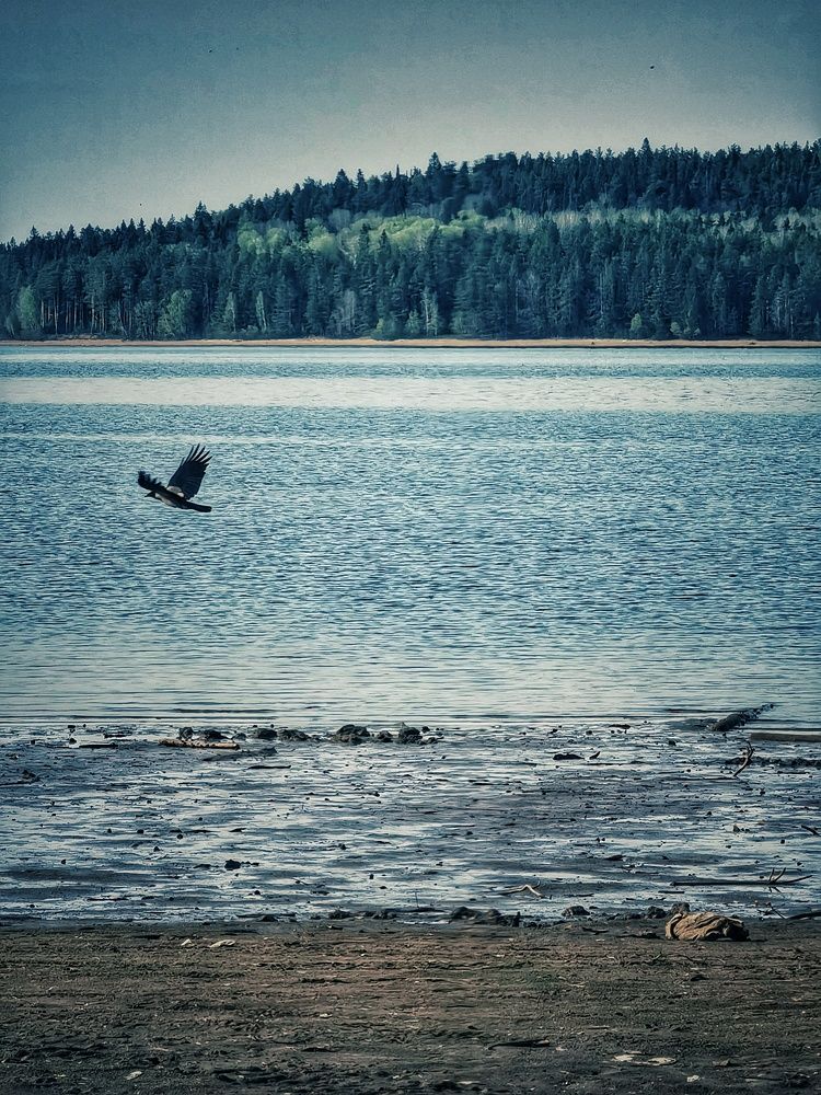 Photograph by Елена Касьянова