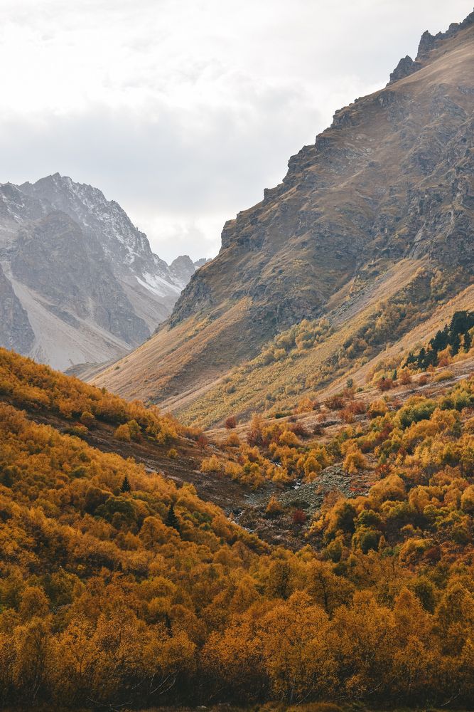 Photograph by Александра Москвичева