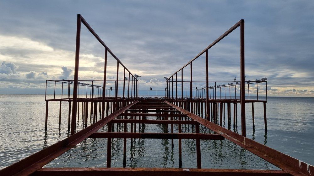 Photograph by Красуля