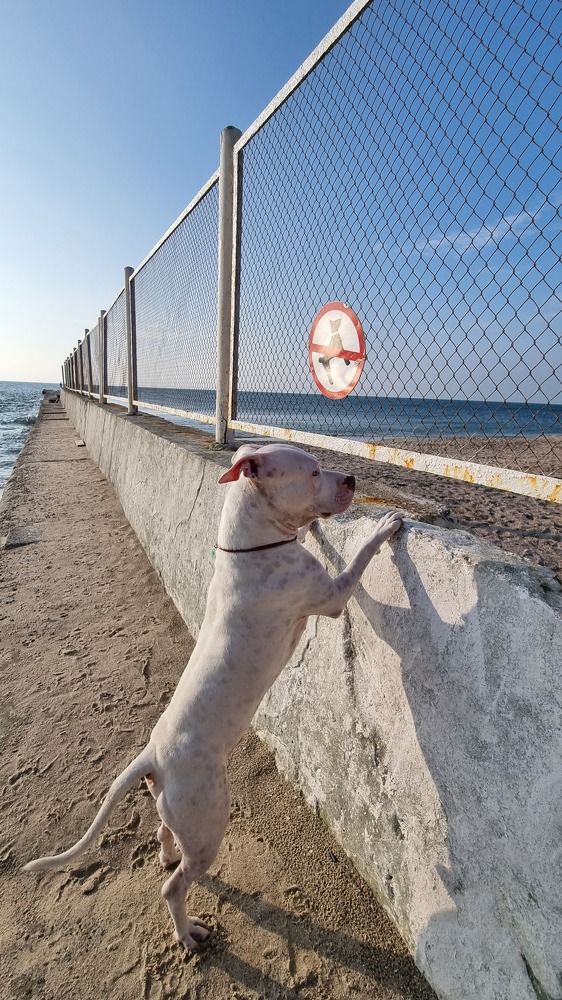 Photograph by Красуля