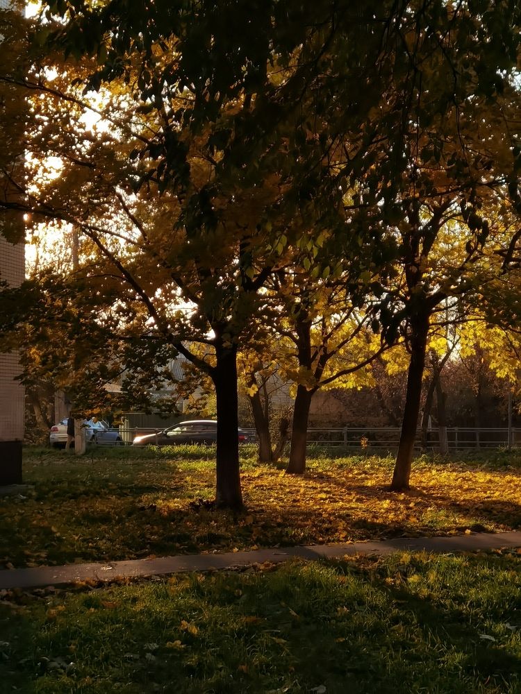 Photograph by Дмитрий Завьялов