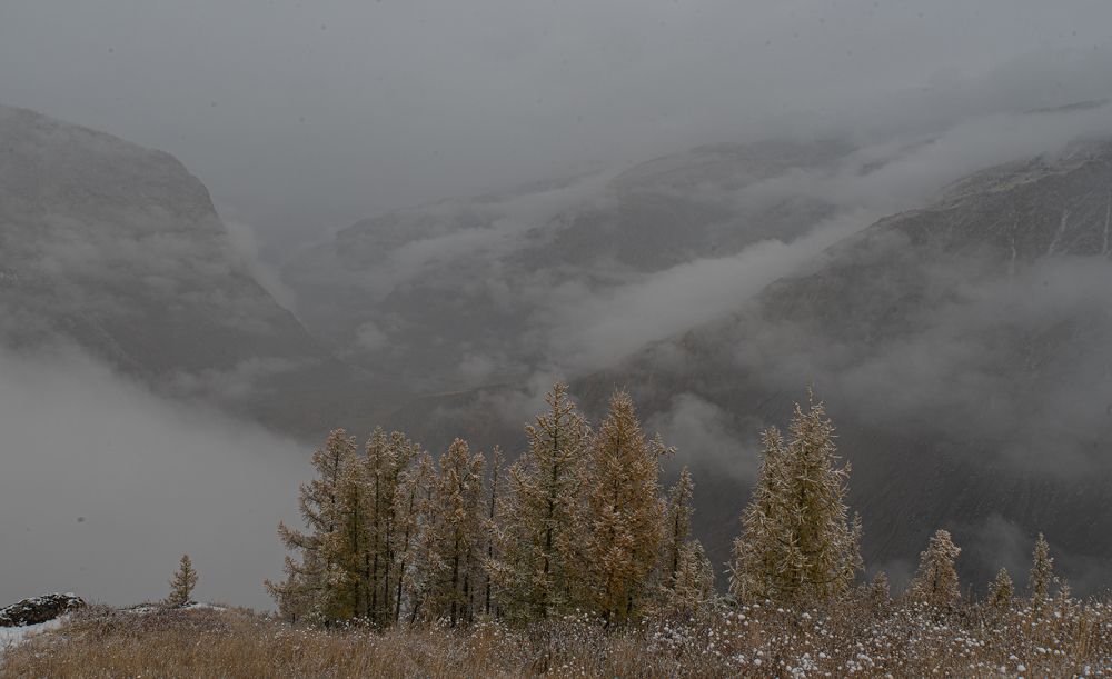 Photograph by Aleksei Kurlov