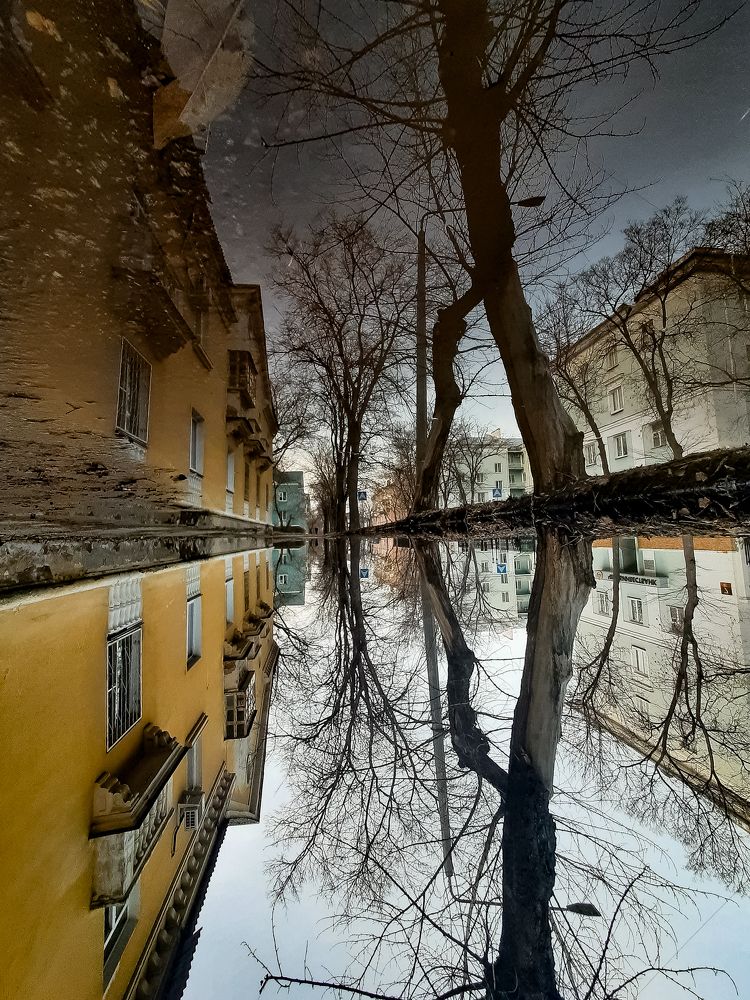 Зеркальный переворот