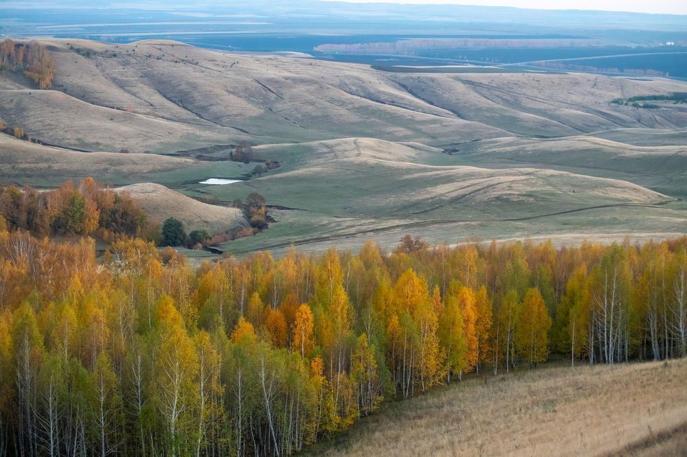 Photograph by Алексей Мистрюков