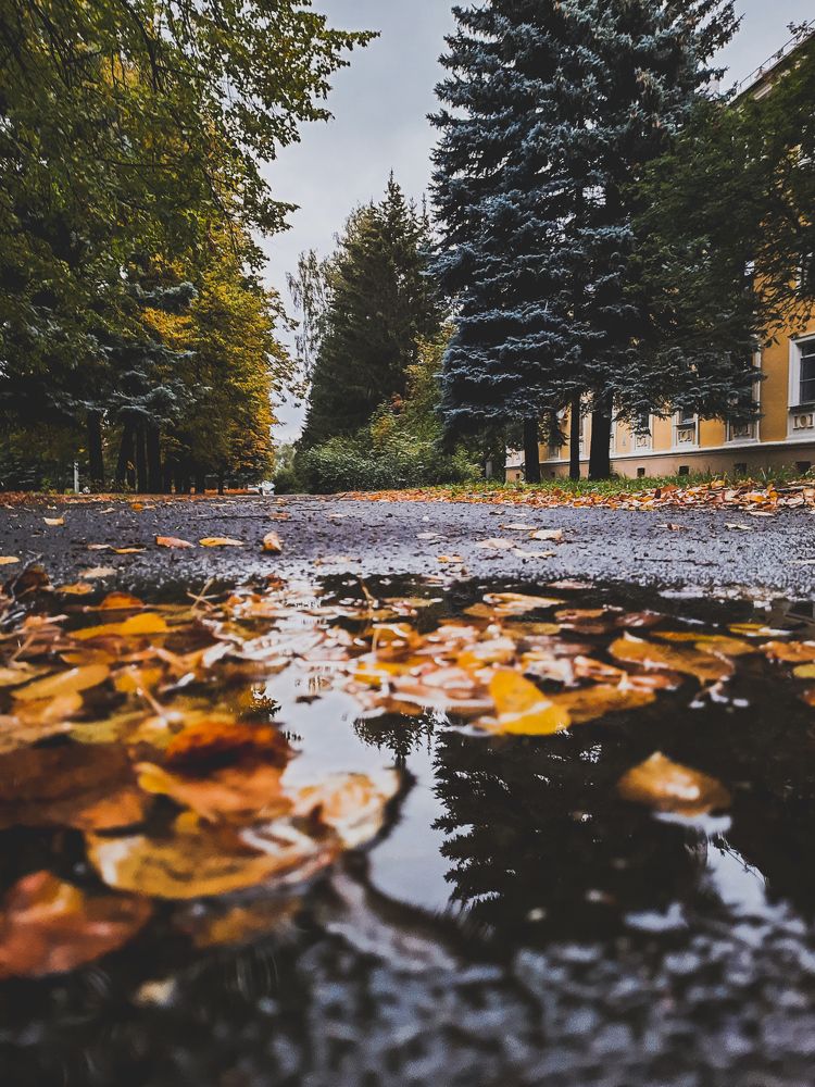 Photograph by Андрей Баталов