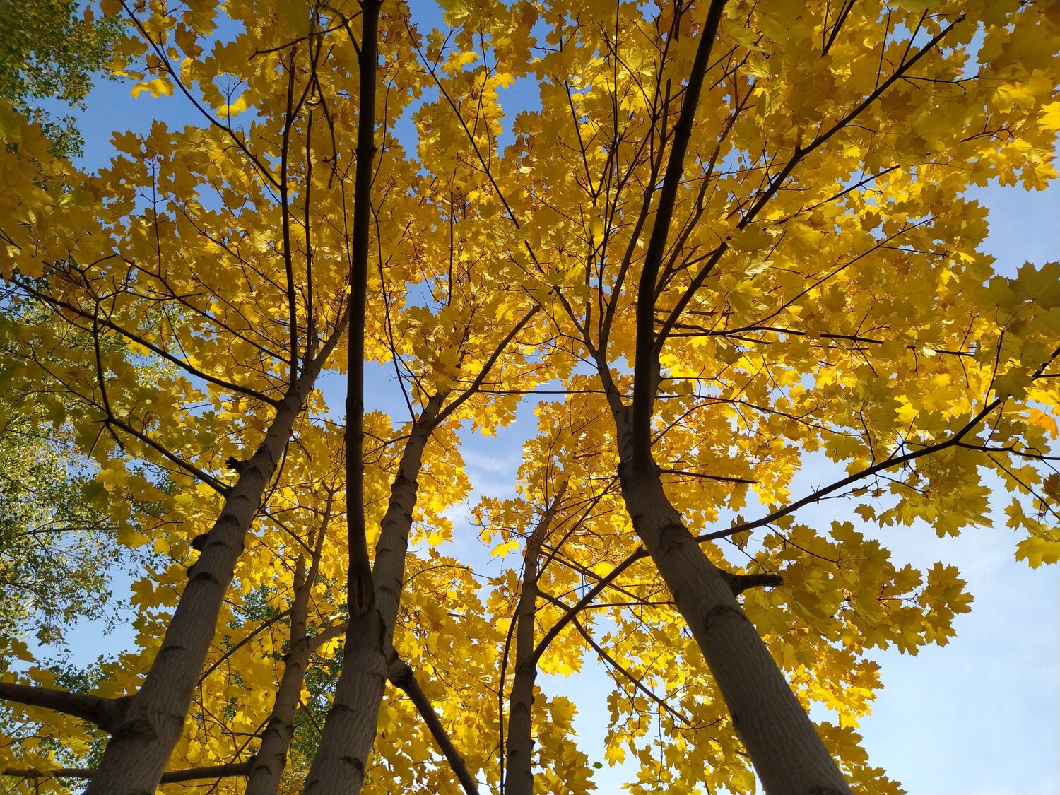 Photo #6580597