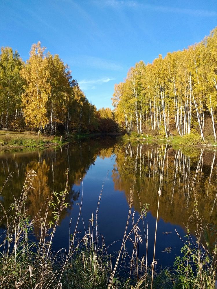 Photograph by Галина Щурова