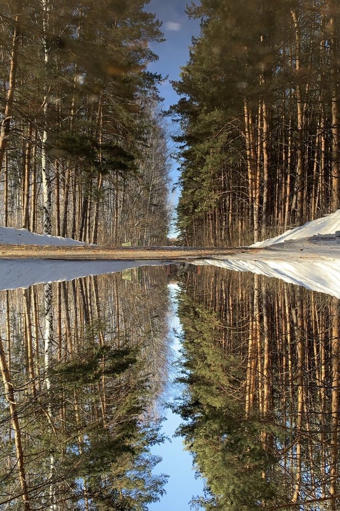 Photograph by Ирина Тимонина